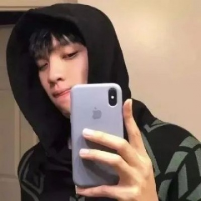 兽设萌新入门指南福瑞群